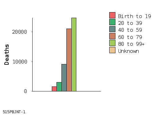 bar chart