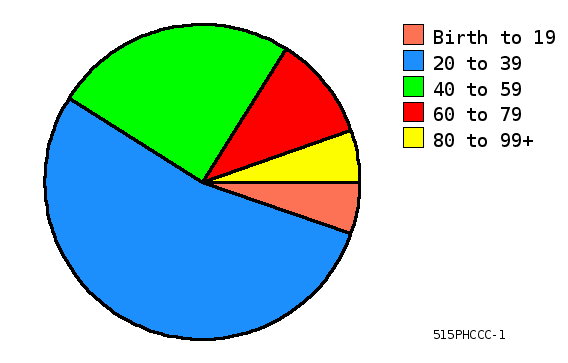 Pie Chart Thumbnail #3