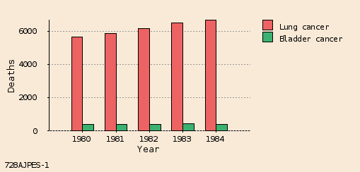 bar chart