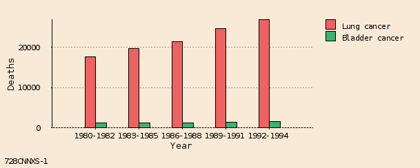 bar chart bar chart