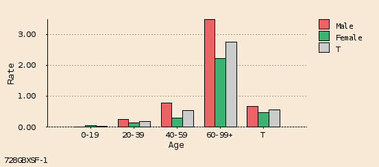 bar chart