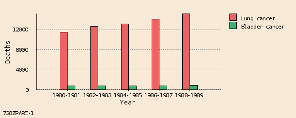 bar chart bar chart