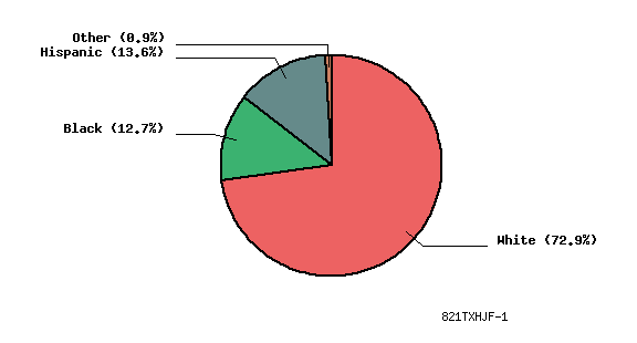 pie chart
