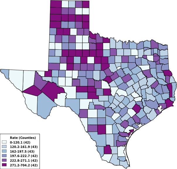 Texas Vitalnet Map Thumbnail