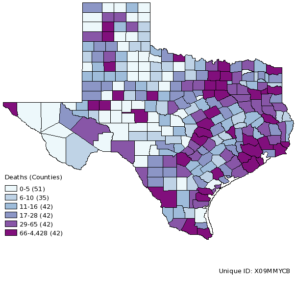 Texas Vitalnet Map Thumbnail