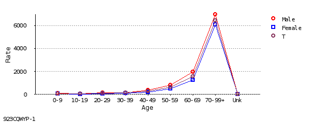 line chart line chart
