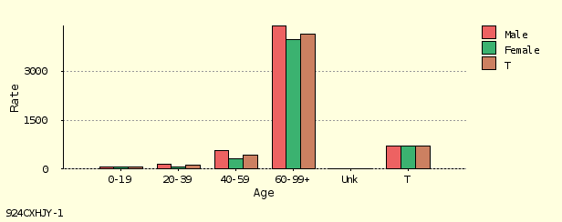 bar chart