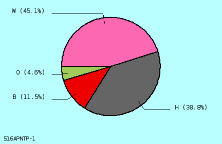 pie chart
