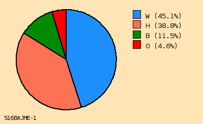 pie chart