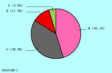 pie chart