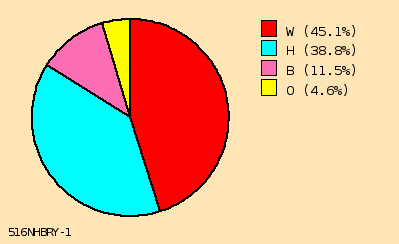 pie chart