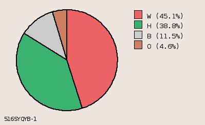 pie chart