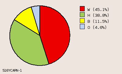 pie chart