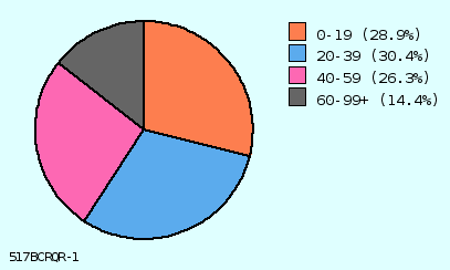 Pie Chart Thumbnail #1