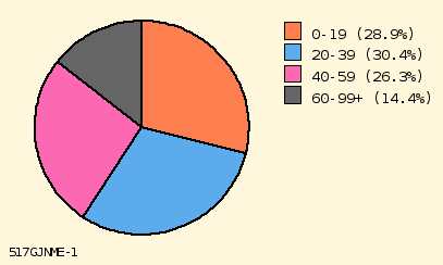 pie chart