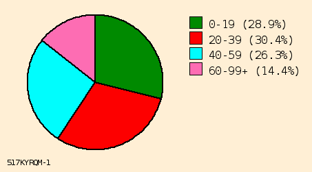 pie chart