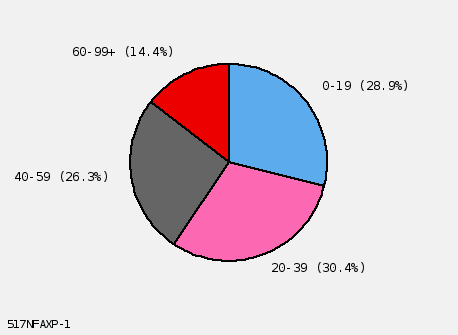 pie chart