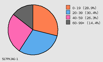 pie chart
