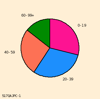 pie chart