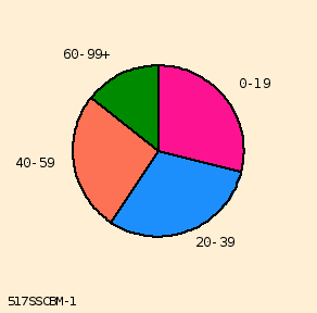 pie chart