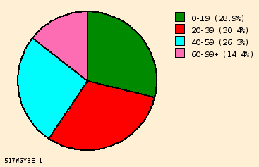 pie chart