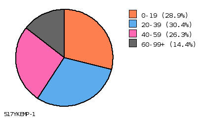 pie chart