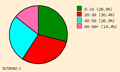 pie chart