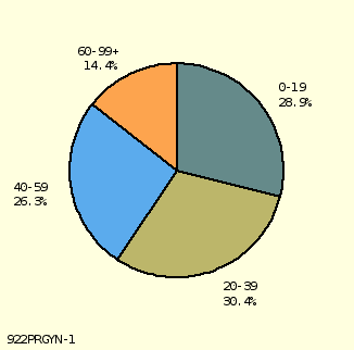 pie chart