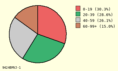 pie chart