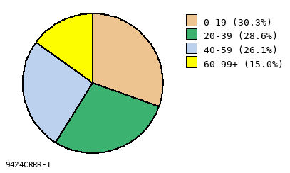 pie chart