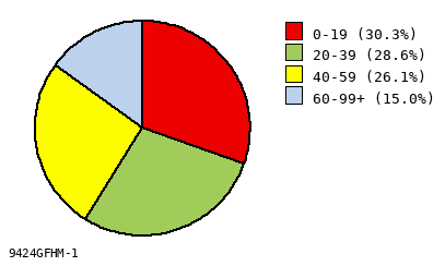 pie chart