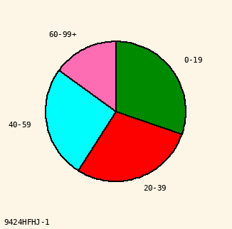 pie chart