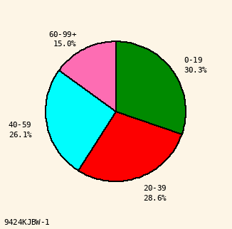 pie chart