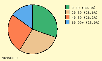 pie chart