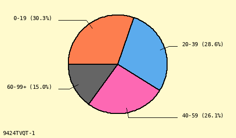 pie chart