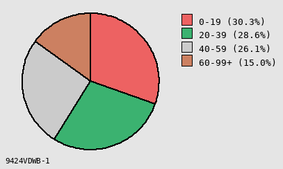 pie chart