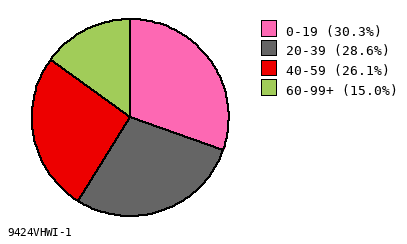 pie chart