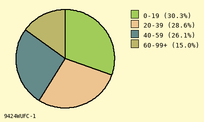 pie chart