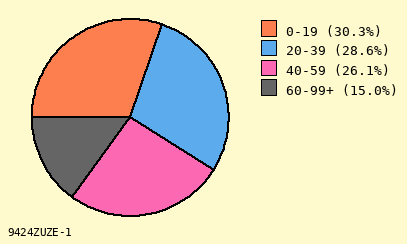 pie chart