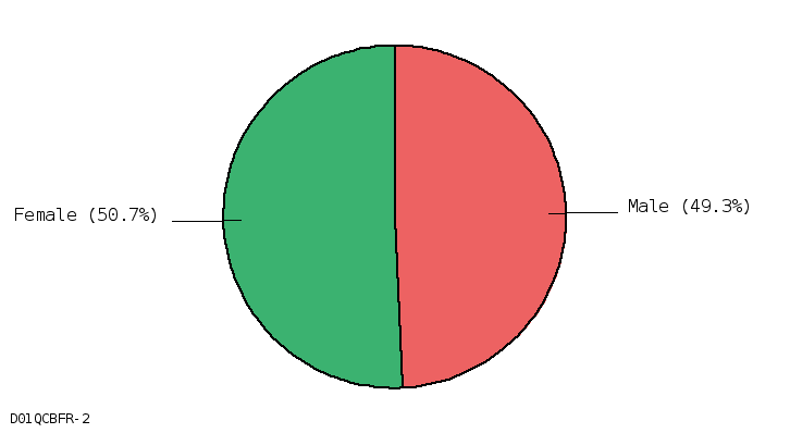 pie chart