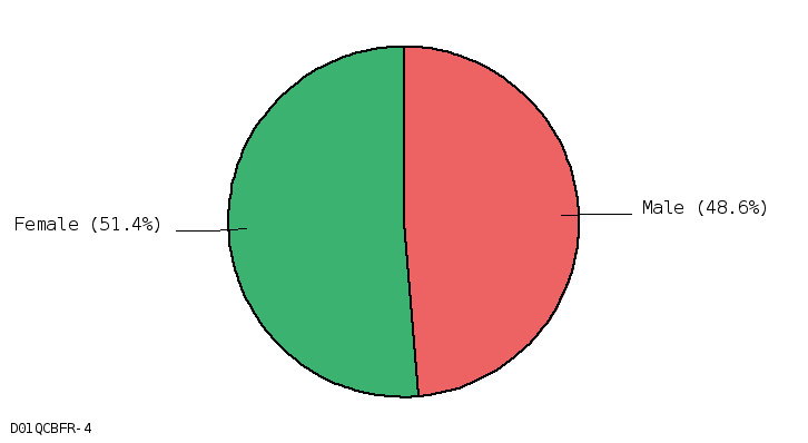 pie chart