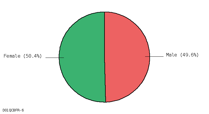 pie chart