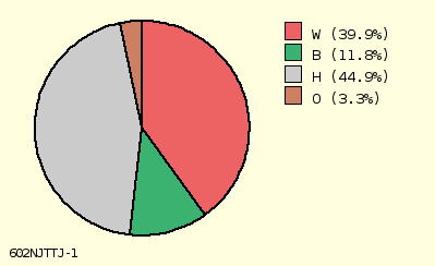 pie chart