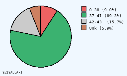 pie chart