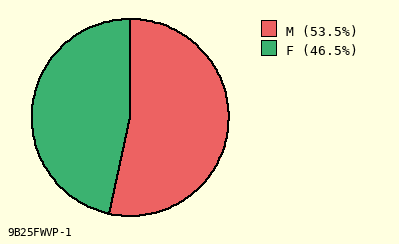 pie chart