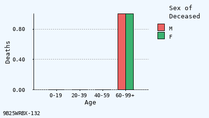 bar chart