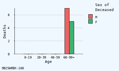 bar chart