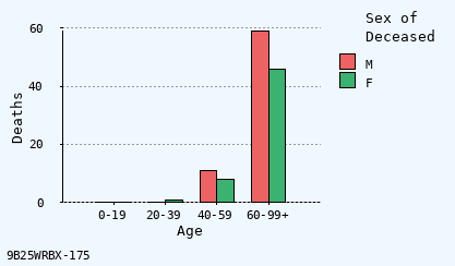 bar chart