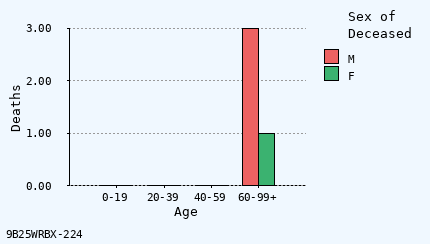 bar chart