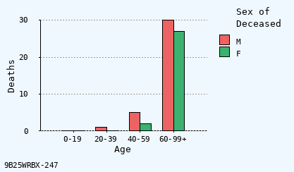 bar chart